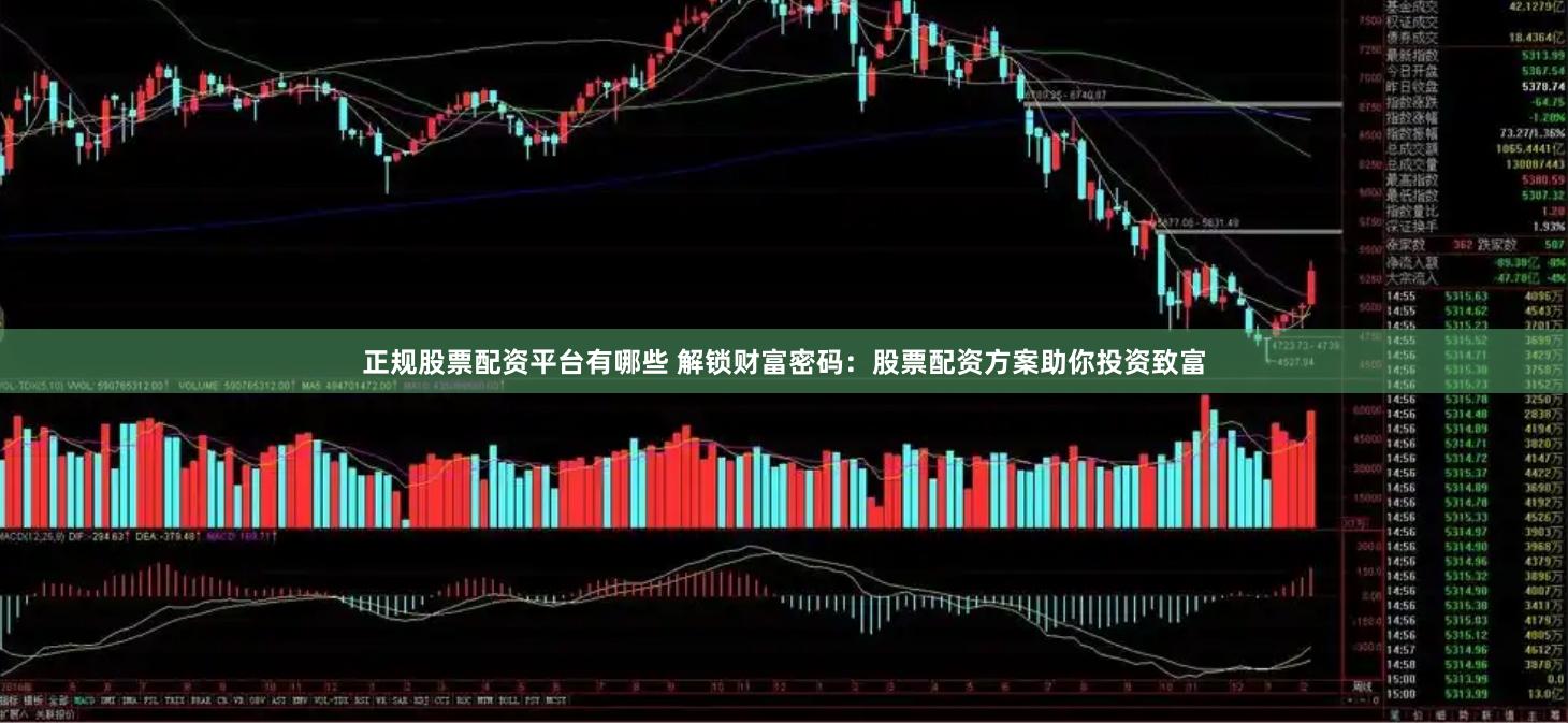正规股票配资平台有哪些 解锁财富密码：股票配资方案助你投资致富